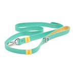 Aqua / Sunshine Yellow