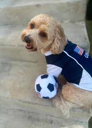 Parisian Pet 'Team USA' Dog & Cat Shirt – Embroidered USA Jersey, Perfect for Sports and Vacations – Red, White, and Blue - Pup List