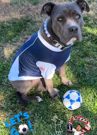Parisian Pet 'Team USA' Dog & Cat Shirt – Embroidered USA Jersey, Perfect for Sports and Vacations – Red, White, and Blue - Pup List