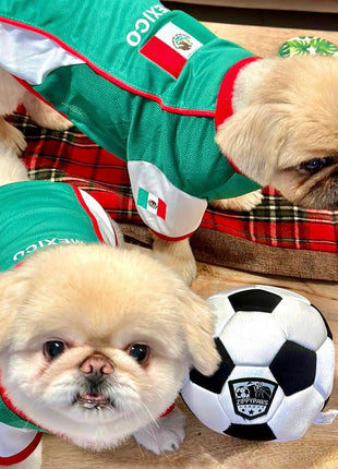 Parisian Pet 'Team Mexico' Dog & Cat T-Shirt – Patriotic Dog Shirt, Perfect for Soccer Fans – Red, White, Green