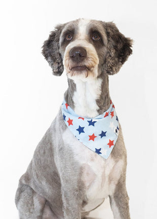 Patriotic Summer Dog Bandana
