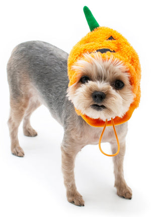 Jack-O Hat
