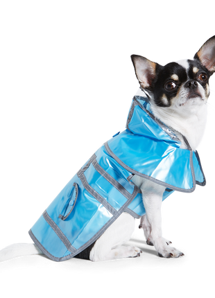 Jelly Raincoat
