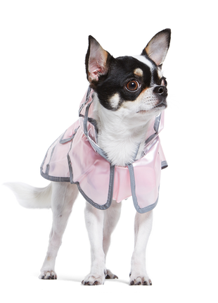 Jelly Raincoat