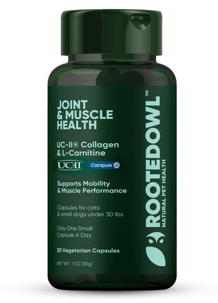 Joint & Muscle Health (Cats & Small Dogs)