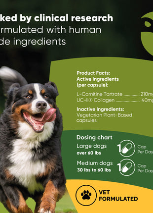 Joint & Muscle Health (Cats & Small Dogs)
