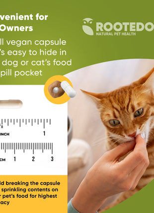 Joint & Muscle Health (Cats & Small Dogs)