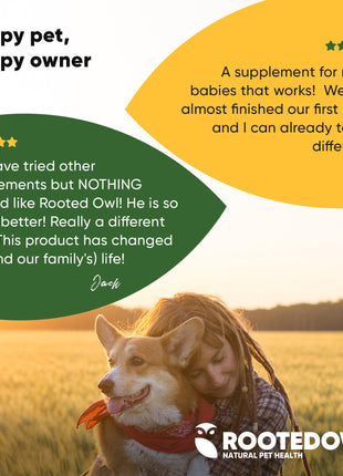 Joint & Muscle Health (Medium & Large Dogs)