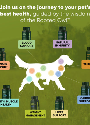 Joint & Muscle Health (Cats & Small Dogs)