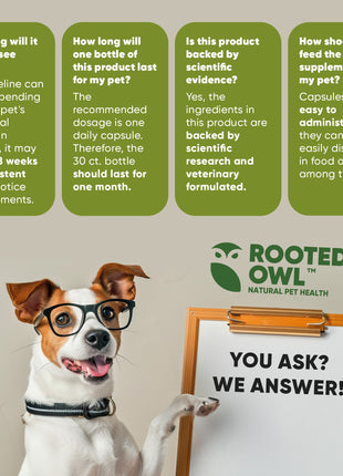 Joint & Muscle Health (Medium & Large Dogs)