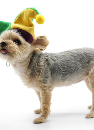 Joker Hat