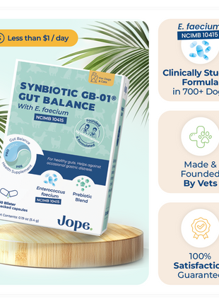Synbiotic GB-01 - Gut Balance - 30 count - Probiotic for dogs and cats