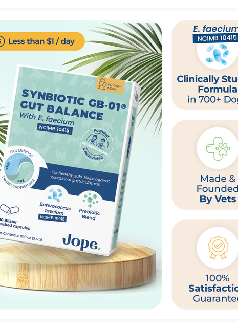 Synbiotic GB-01 - Gut Balance - 30 count - Probiotic for dogs and cats