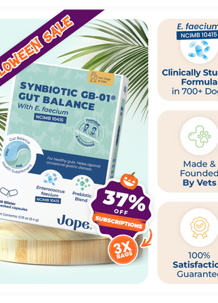 Synbiotic GB-01 - Gut Balance - 30 count - Probiotic for dogs and cats
