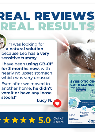 Synbiotic GB-01 - Gut Balance - 30 count - Probiotic for dogs and cats