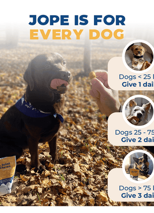 Jope Hip & Joint Dog Chews - 60 Count