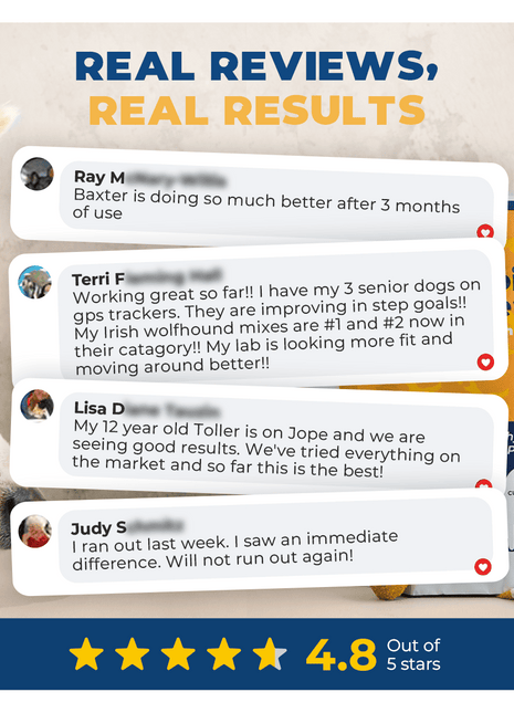 Jope Hip & Joint Dog Chews - 60 Count