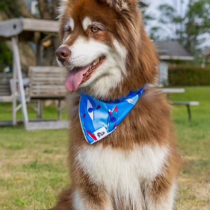 K9 Kayak Dog Bandana