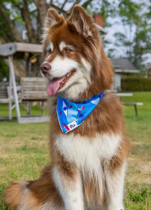 K9 Kayak Dog Bandana & Matching Keychain