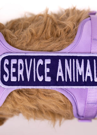 Service Animal 2x6 Patch