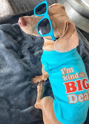 Parisian Pet 'I'm Kind of a Big Deal' Humorous Dog Shirt – Embroidered Graphic Pet T-Shirt for Dogs & Cats, Light Blue