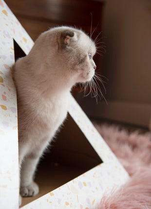 'Terrazzo' Cardboard Cat Pyramid