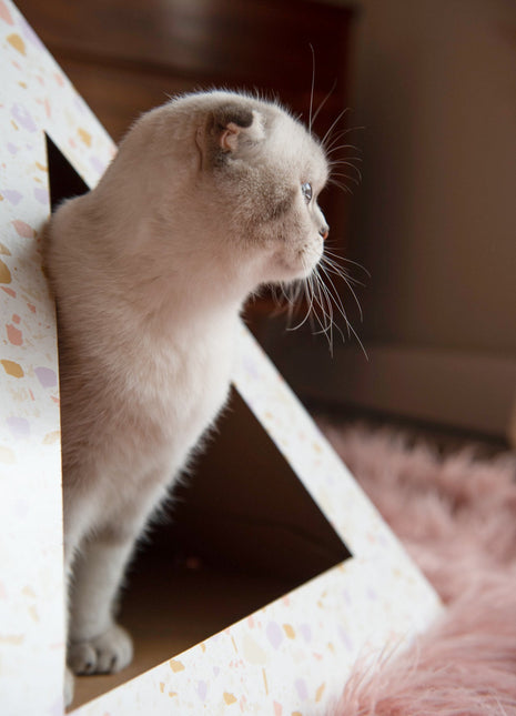 'Terrazzo' Cardboard Cat Pyramid