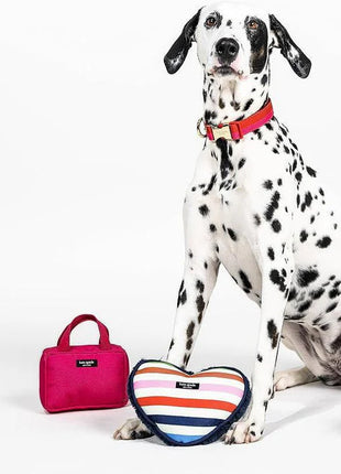 Kate Spade Adventure Stripe Heart Chew Toy