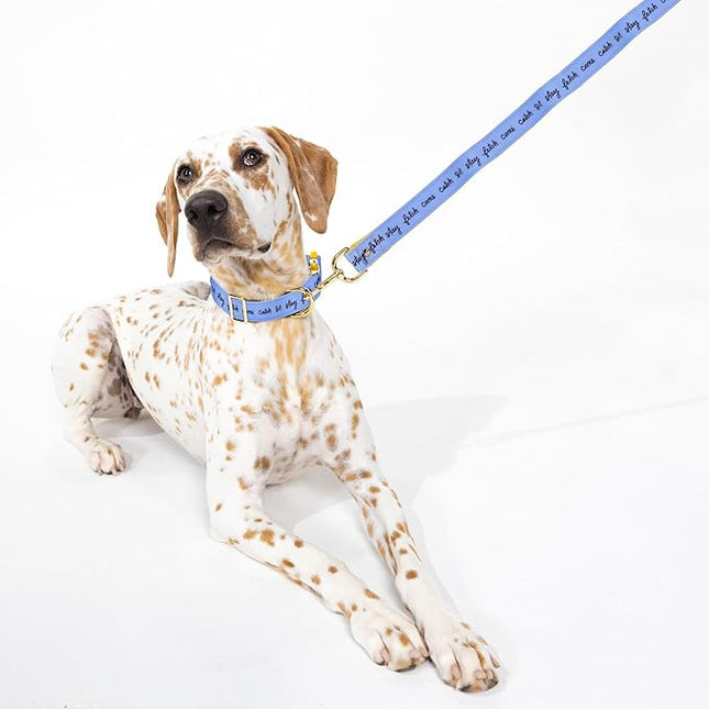 Kate Spade Raining Cats and Dogs M/L Collar