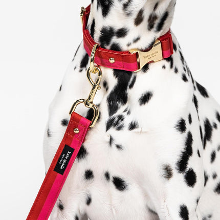 Kate Spade Red and Pink Colorblock Large Leash