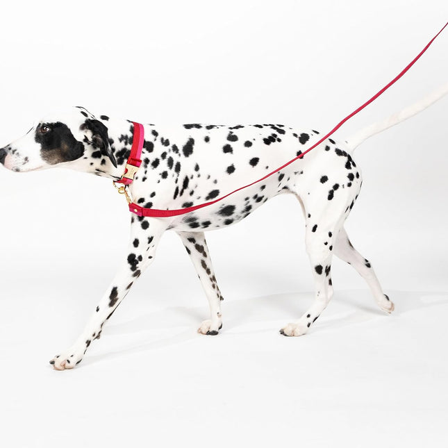 Kate Spade Red and Pink Colorblock Large Leash