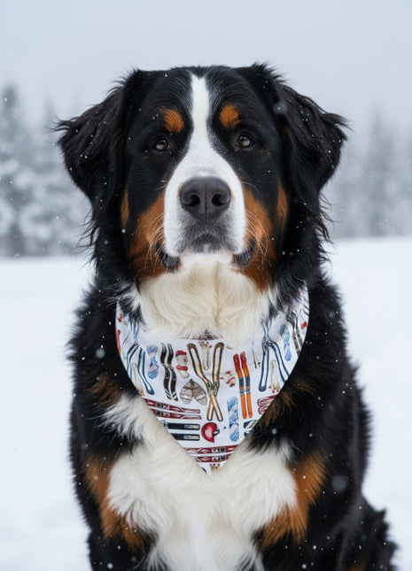 Skiing Dog Bandana