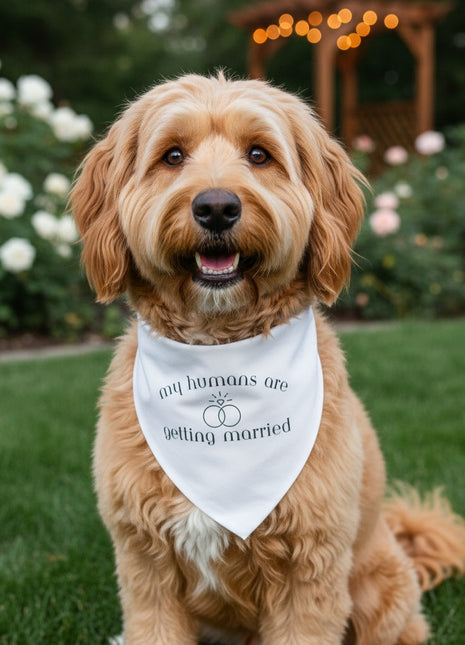 My Humans Are Getting Married Dog Bandana New Arrival