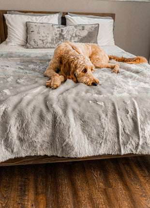 PupProtector™ Short Fur Waterproof Throw Blanket - Grey