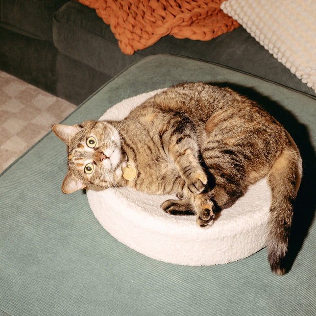 Kip Cat Bed