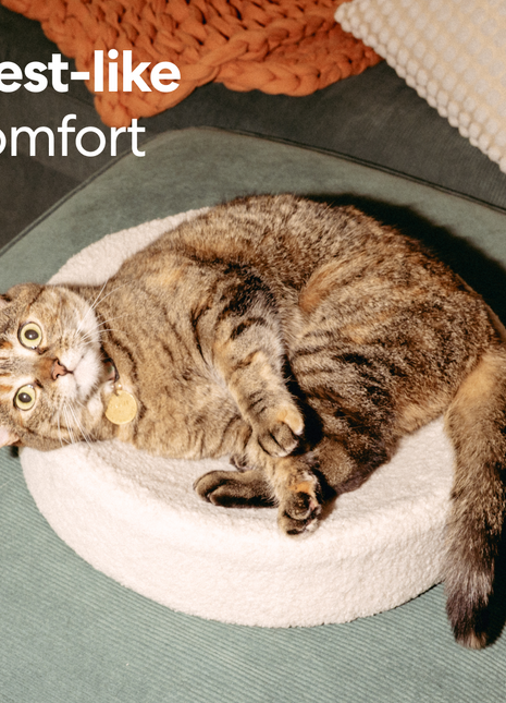 Kip Cat Bed