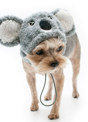 Koala Hat
