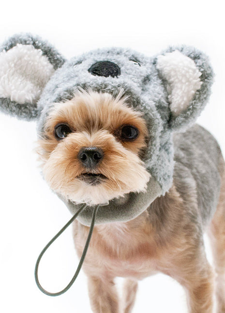 Koala Hat