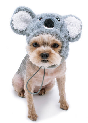 Koala Hat