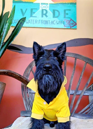 Parisian Pet 'Polo' Dog & Cat T-Shirt – Stylish Embroidered Pet Shirt, Comfortable & Lightweight – Yellow
