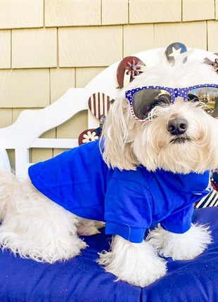 Parisian Pet 'Polo' Dog & Cat T-Shirt – Trendy Cotton Polo, Comfortable & Lightweight – Blue