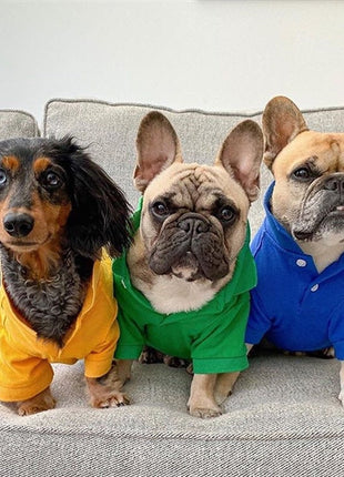 Parisian Pet 'Polo' Dog & Cat T-Shirt – Trendy Cotton Polo, Comfortable & Lightweight – Blue