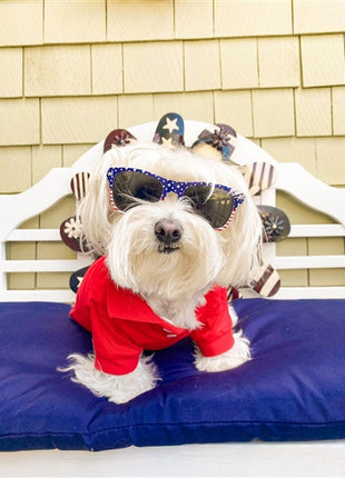 Parisian Pet 'Polo' Dog & Cat T-Shirt – Stylish Cotton, Comfortable & Lightweight Summer Shirt – Red-Valentine's Day