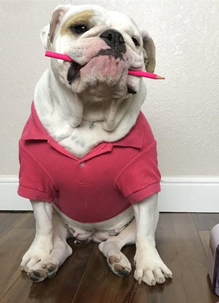 Parisian Pet 'Polo' Dog & Cat T-Shirt – Stylish Cotton, Comfortable & Lightweight Summer Shirt – Red-Valentine's Day