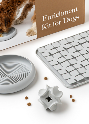 LAY LO Dog Enrichment Starter Bundle & Gift Box