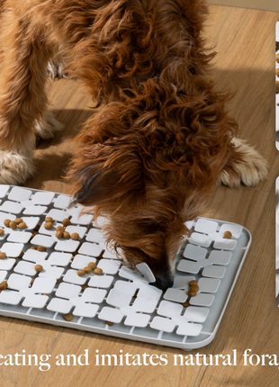 LAY LO Dog Enrichment Starter Bundle & Gift Box