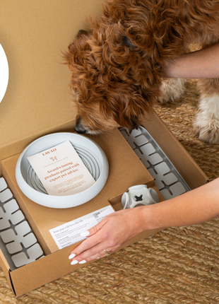 LAY LO Dog Enrichment Starter Bundle & Gift Box
