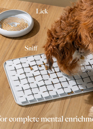 LAY LO Dog Enrichment Starter Bundle & Gift Box