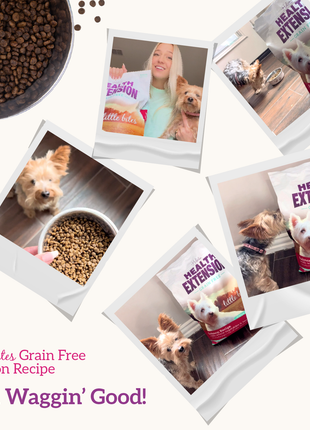 Grain Free Salmon & Sweet Potato Little Bites Recipe