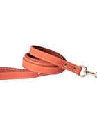 Traditional Coral Reef Leather Leash